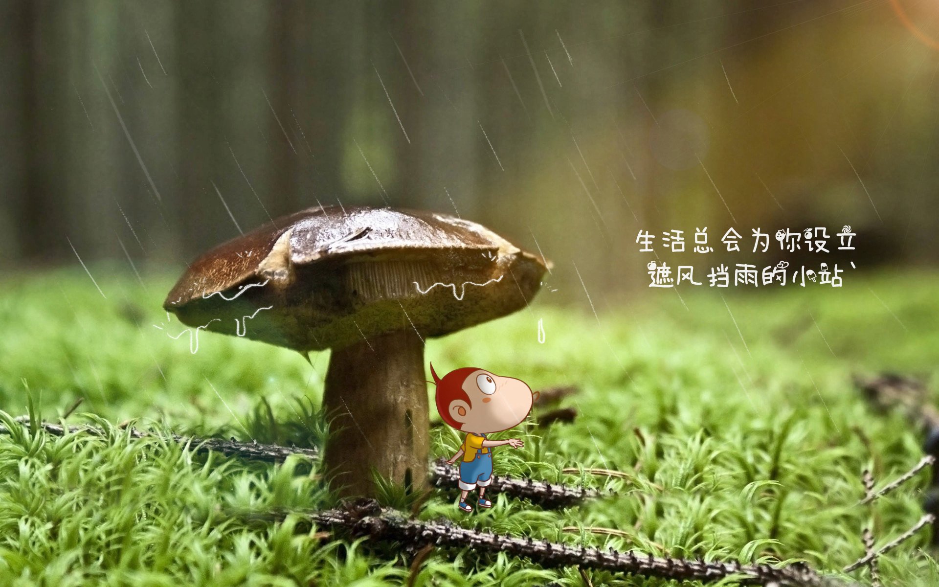 FB体育下载-山东高速主场战绩稳定，山东高速 知乎
