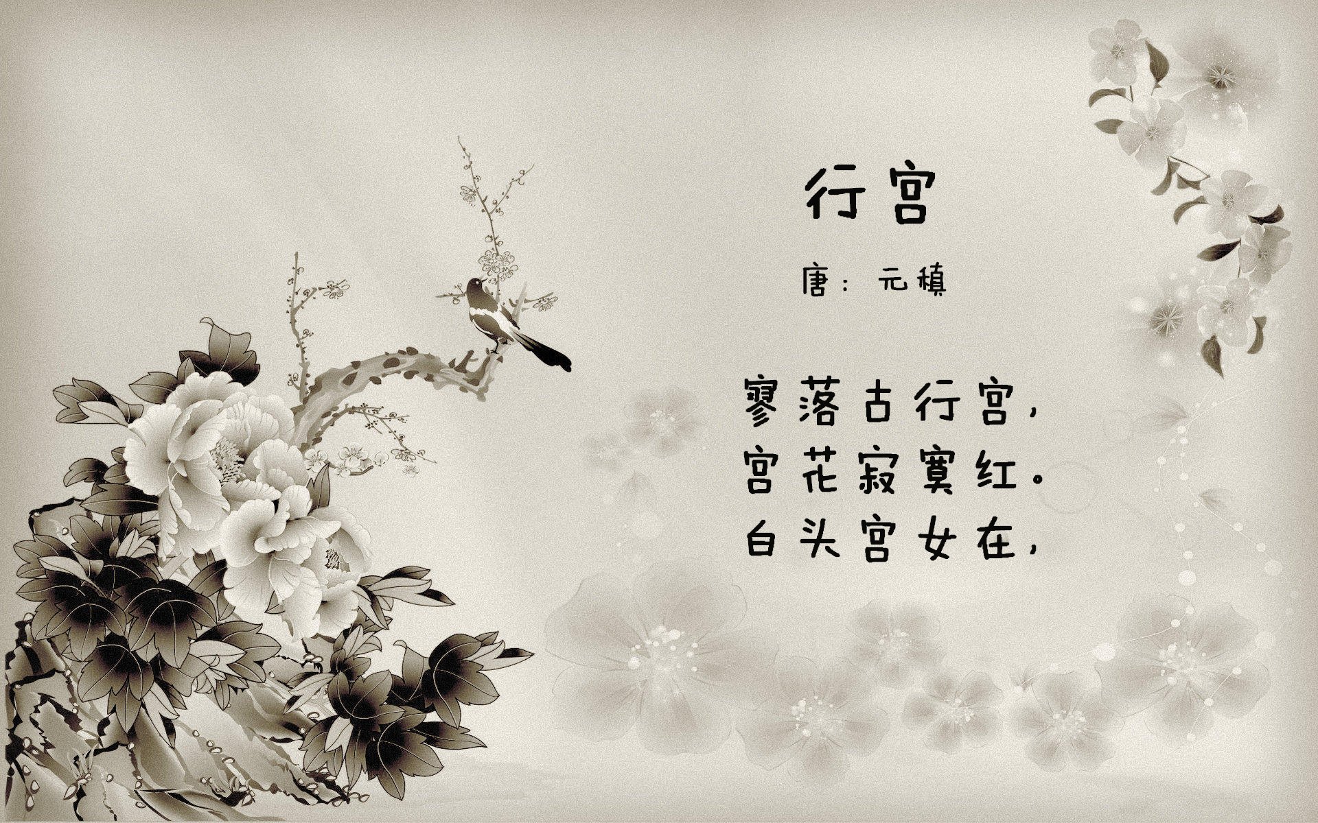 球员心理辅导资源缺乏专业支持