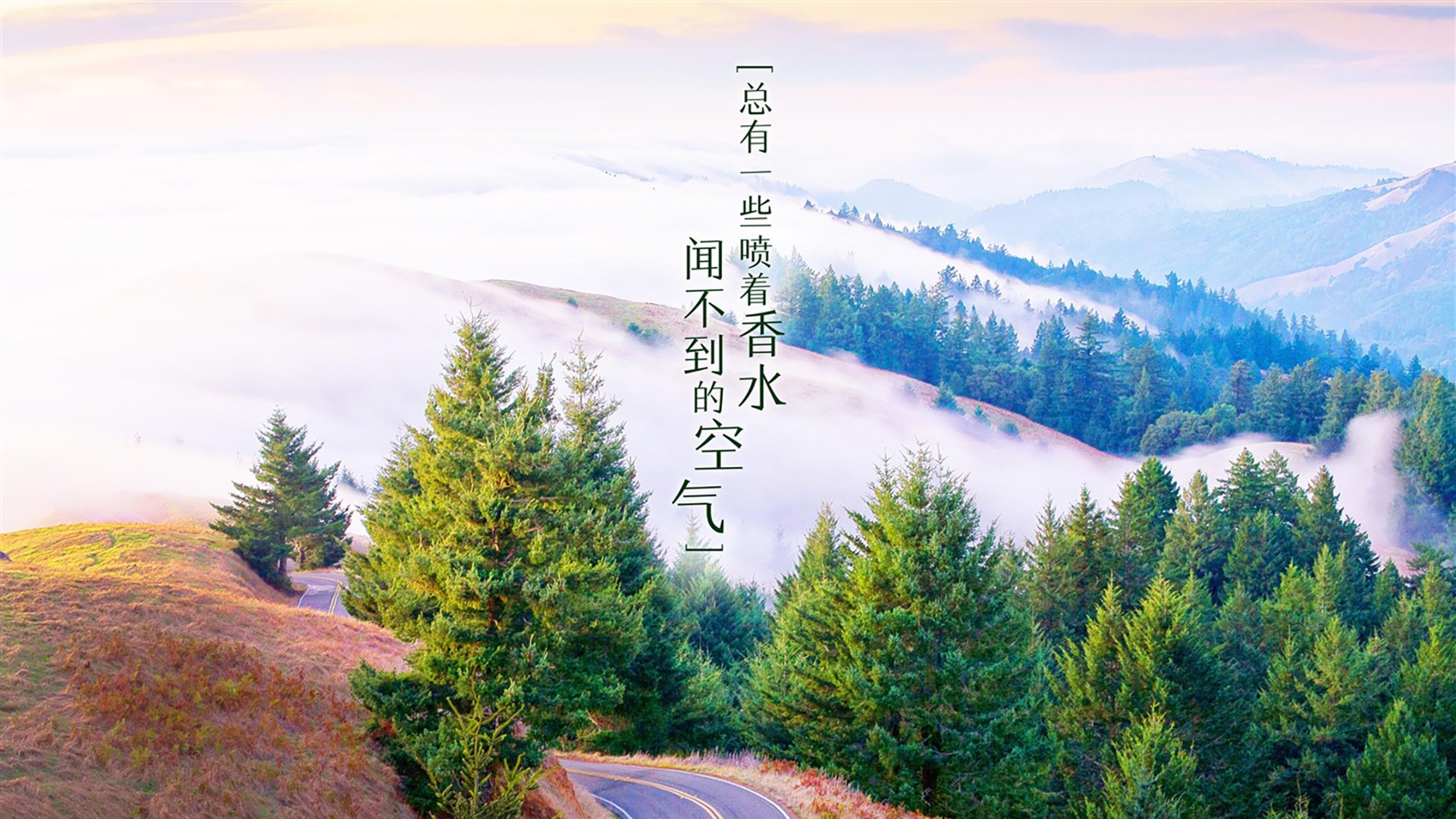 fb体育试玩-曼城训练场上演射门对决，曼城队训