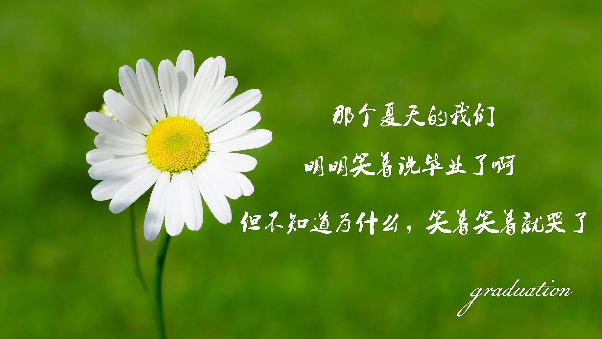 王楚钦新打法引发网友热议，王楚钦单打