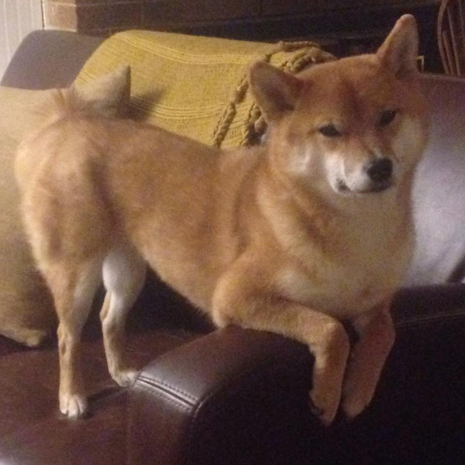 fb体育平台-青少年篮球赛事开展反兴奋剂知识普及教育，青少年反兴奋剂考核